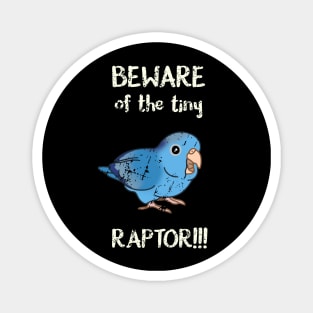 Beware of the tiny Raptor Blue-pied Parrotlet Magnet